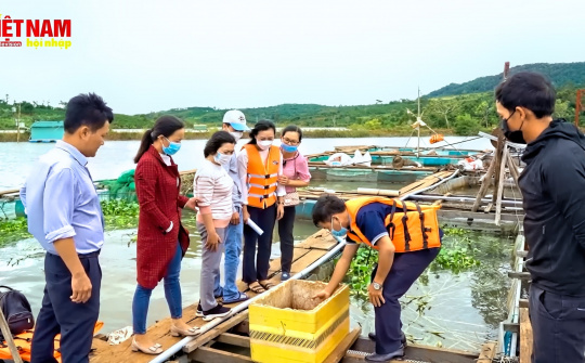 Mô hình nuôi cá lồng bè trên sông hồ gắn với tiêu thụ sản phẩm tại Nam Trung Bộ và Tây Nguyên