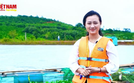 Hiệu quả mô hình nuôi Cá Lăng Nha tại tỉnh Gia Lai