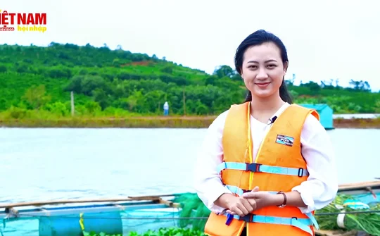 Hiệu quả mô hình nuôi Cá Lăng Nha tại tỉnh Gia Lai