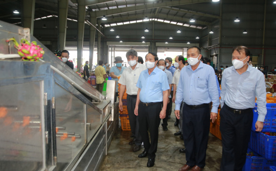 Công ty TNHH XNK Nông sản Hưng Nguyên 3: Quan tâm đến thị hiếu của từng thị trường