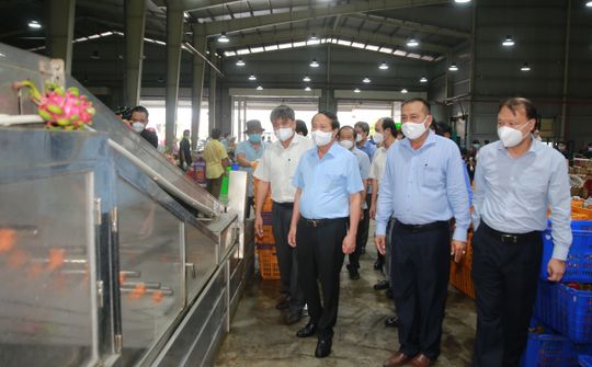 Công ty TNHH XNK Nông sản Hưng Nguyên 3: Quan tâm đến thị hiếu của từng thị trường