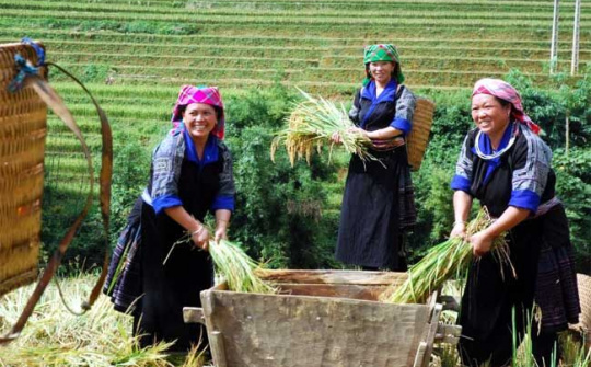 Tăng trưởng kinh tế với giảm nghèo: Lý luận và thực tiễn tại Việt Nam