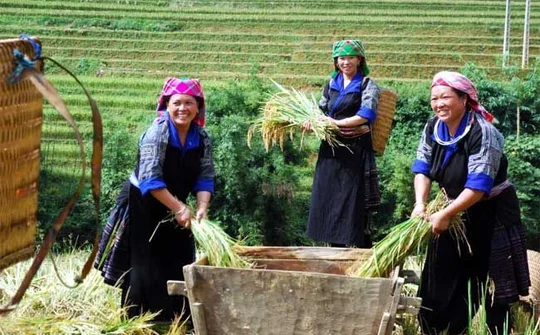 Tăng trưởng kinh tế với giảm nghèo: Lý luận và thực tiễn tại Việt Nam