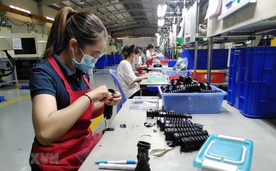Gần 10.000 doanh nghiệp rút khỏi thị trường kinh doanh mỗi tháng