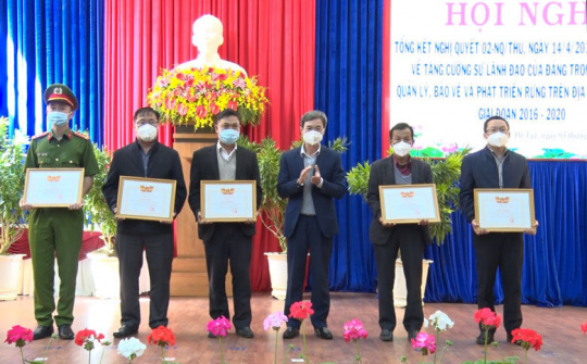 TP Đà Lạt: Tổng kết 5 năm thực hiện Nghị quyết 02 trong công tác quản lý, bảo vệ và phát triển rừng