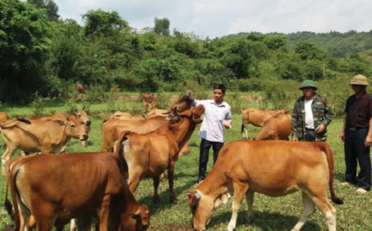 Xã Ban Công (Bá Thước) thực hiện hiệu quả mục tiêu kép