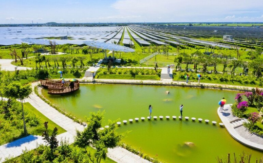 “Thảo nguyên xanh” gõ cửa mùa xuân