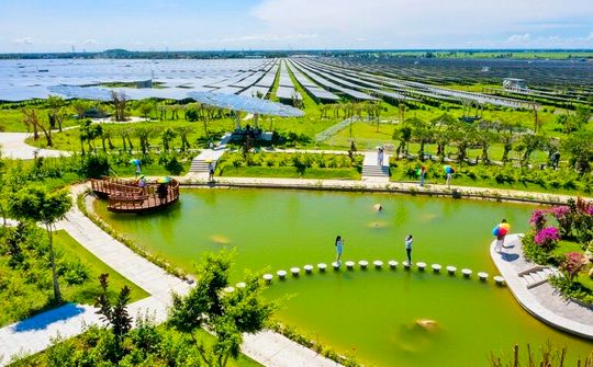 “Thảo nguyên xanh” gõ cửa mùa xuân