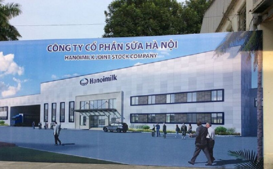 Hanoimilk (HNM) bị phạt 85 triệu đồng do vi phạm công bố thông tin