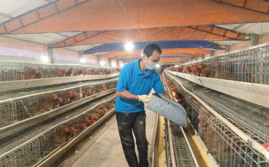 Quảng Ninh: Các sản phẩm OCOP được nâng tầm nhờ ứng dụng KH&CN