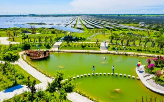 Quy hoạch điện VIII: Cần kiến tạo “Xanh hóa” tăng trưởng
