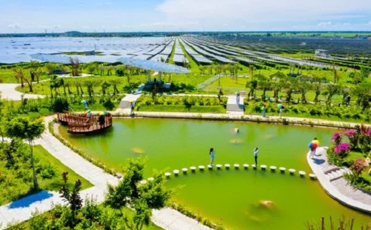 Quy hoạch điện VIII: Cần kiến tạo “Xanh hóa” tăng trưởng