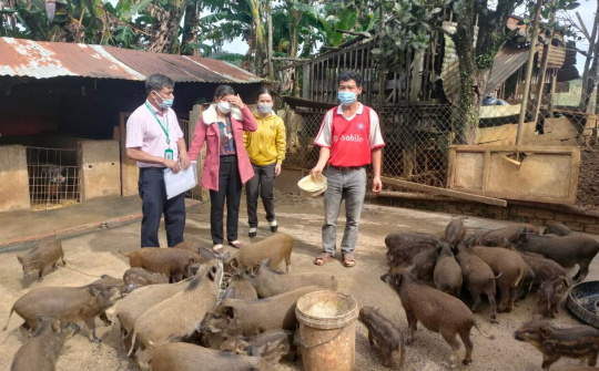 Đắk Nông: Hội phụ nữ xã Đắk R’Măng, Đắk Glong quản lý tốt, hiệu quả nguồn vốn ủy thác
