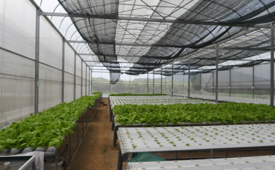 Trường Sơn: Xây dưng nông thôn mới là hành trình không ngừng nghỉ