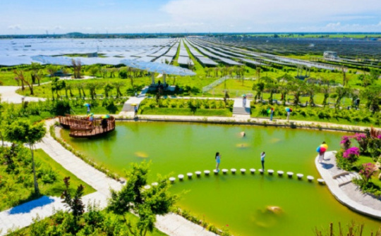 Power plan VIII: Grow in an environmentally friendly manner