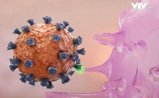 Quan chức WHO đánh giá Omicron không gây bệnh nặng hơn các biến thể trước