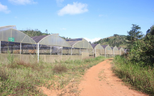 Đắk Nông: Doanh nghiệp đang rất cần sự hợp tác của các nhà đầu tư làm nông nghiệp công nghệ cao