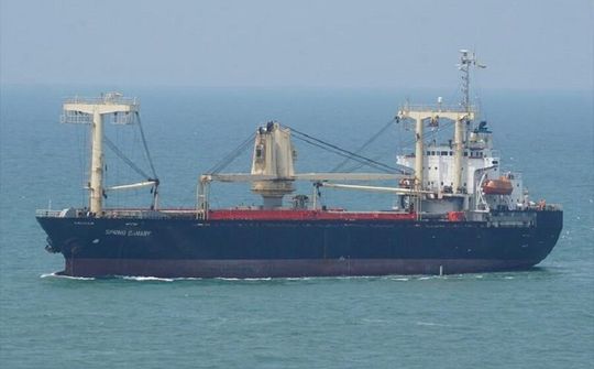 Liên tiếp cứu nạn thành công nhiều thuyền viên quốc tịch Việt Nam trên các tàu hàng nước ngoài gặp nạn