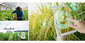 Đắk Lắk: Dành khoảng 20 tỷ/năm để chuyển đổi số