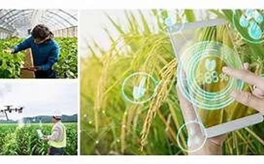 Đắk Lắk: Dành khoảng 20 tỷ/năm để chuyển đổi số