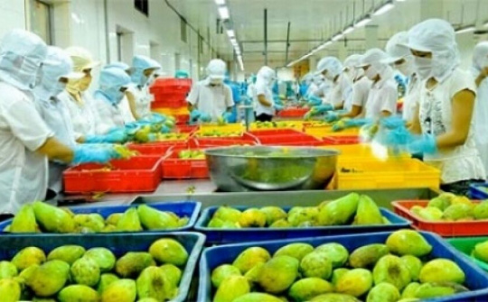 Phấn đấu giá trị xuất khẩu nông lâm thủy sản đạt 62 tỷ USD vào năm 2030