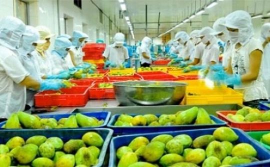 Phấn đấu giá trị xuất khẩu nông lâm thủy sản đạt 62 tỷ USD vào năm 2030