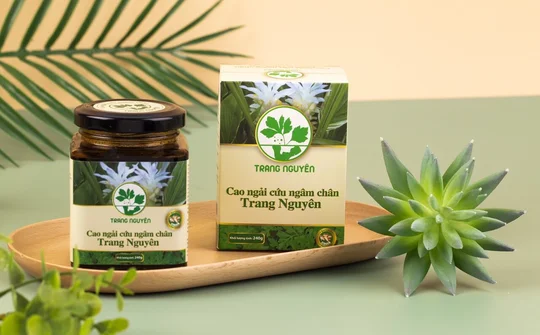 Cao Ngải cứu ngâm chân: Món quà sức khỏe từ thiên nhiên