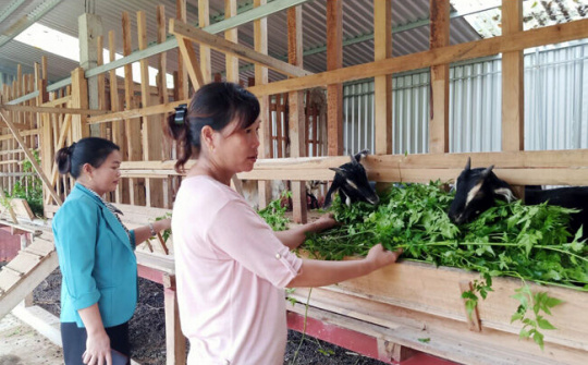 Quy định chuẩn nghèo đa chiều giai đoạn 2021 - 2025