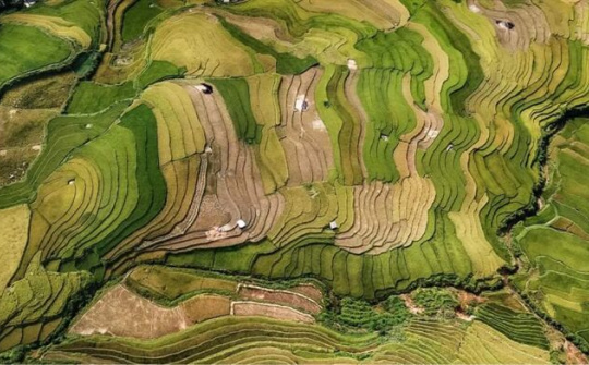 Nhiếp ảnh gia Việt Nam đoạt Huy chương vàng quốc tế