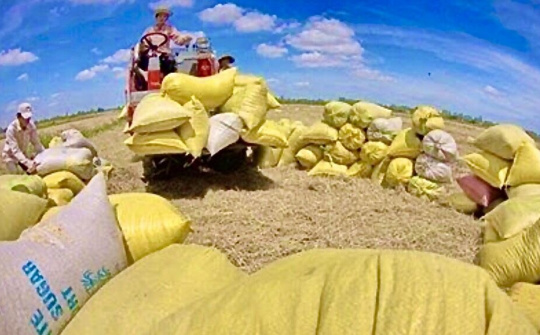 Credendo: Việt Nam đang viết tiếp câu chuyện thành công về kinh tế