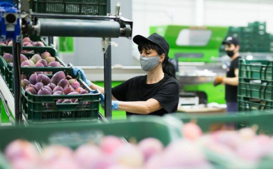 IMF: Covid-19 khiến nhiều nền kinh tế tụt hậu