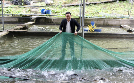 Nhà hàng Hồng Long: Đưa cá nước lạnh lên ngôi với mô hình khép kín