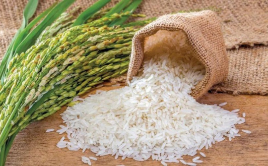 Đầu năm, 60 tấn gạo thơm xuất khẩu sang Anh hưởng ưu đãi UKVFTA