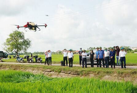 Nông sản cất cánh nhờ công nghệ