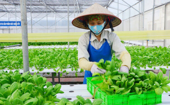 Nông nghiệp trước COVID-19: Yêu cầu của Thủ tướng về 3 không gian kinh tế