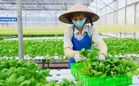 Nông nghiệp trước COVID-19: Yêu cầu của Thủ tướng về 3 không gian kinh tế