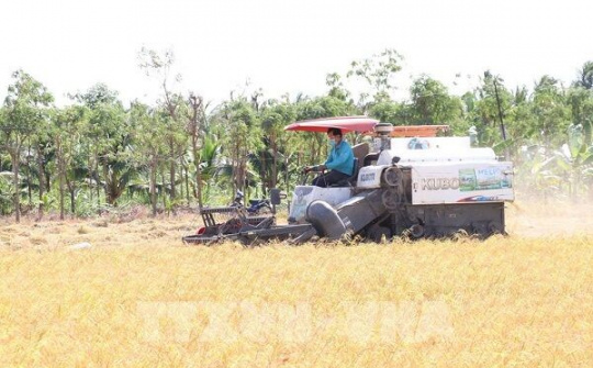 Bến Tre: Phát triển nông nghiệp toàn diện, theo hướng hiện đại