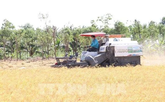 Bến Tre: Phát triển nông nghiệp toàn diện, theo hướng hiện đại