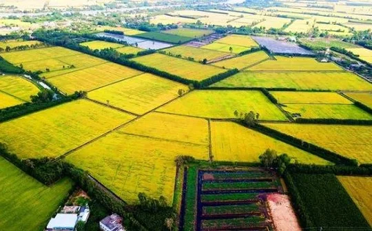 3 năm nhìn lại Nghị quyết 120 phát triển bền vững vùng ĐBSCL