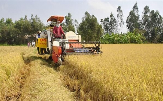 Sóc Trăng: Ngành Nông nghiệp thực hiện tốt Đề án Tái cơ cấu nông nghiệp