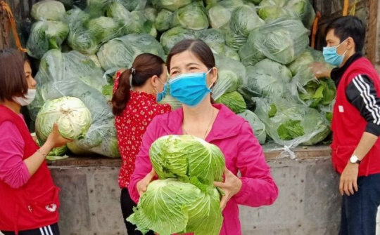 Tiêu thụ hàng chục tấn nông sản cho bà con nông dân Thái Bình