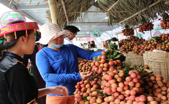 Sản phẩm đầu tiên của Việt Nam được bảo hộ chỉ dẫn địa lý tại Nhật