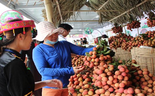 Sản phẩm đầu tiên của Việt Nam được bảo hộ chỉ dẫn địa lý tại Nhật