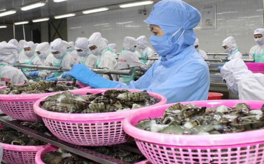 Thêm một cánh cửa thâm nhập thị trường Bắc Âu