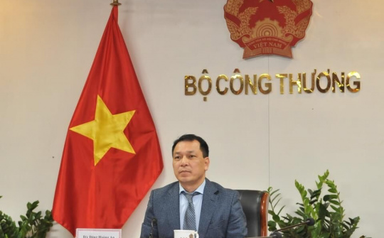Việt Nam tham gia Đối thoại quốc tế về chuyển đổi năng lượng Berlin năm 2021