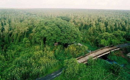 Cà Mau: Tăng cường phòng cháy, chữa cháy rừng mùa khô