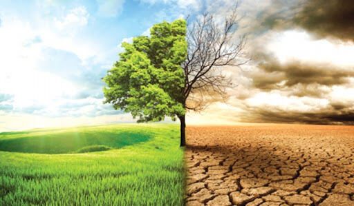 2021 mở ra kỷ nguyên chống biến đổi khí hậu
