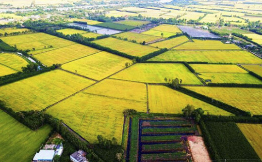 Khơi nguồn lực đầu tư phát triển bền vững Đồng bằng sông cửu long