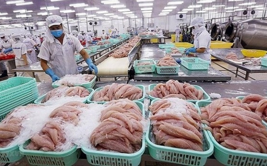 Vietnam, UAE enjoy surge in two-way trade