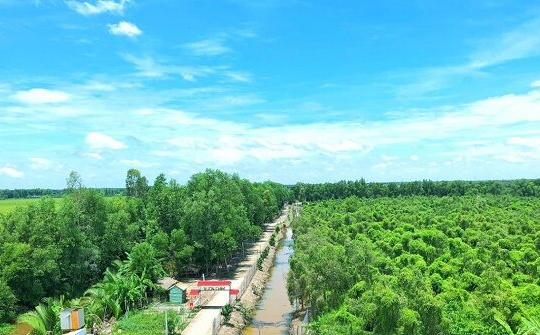 Hậu Giang: Chủ động các biện pháp phòng cháy chữa cháy rừng trong mùa khô